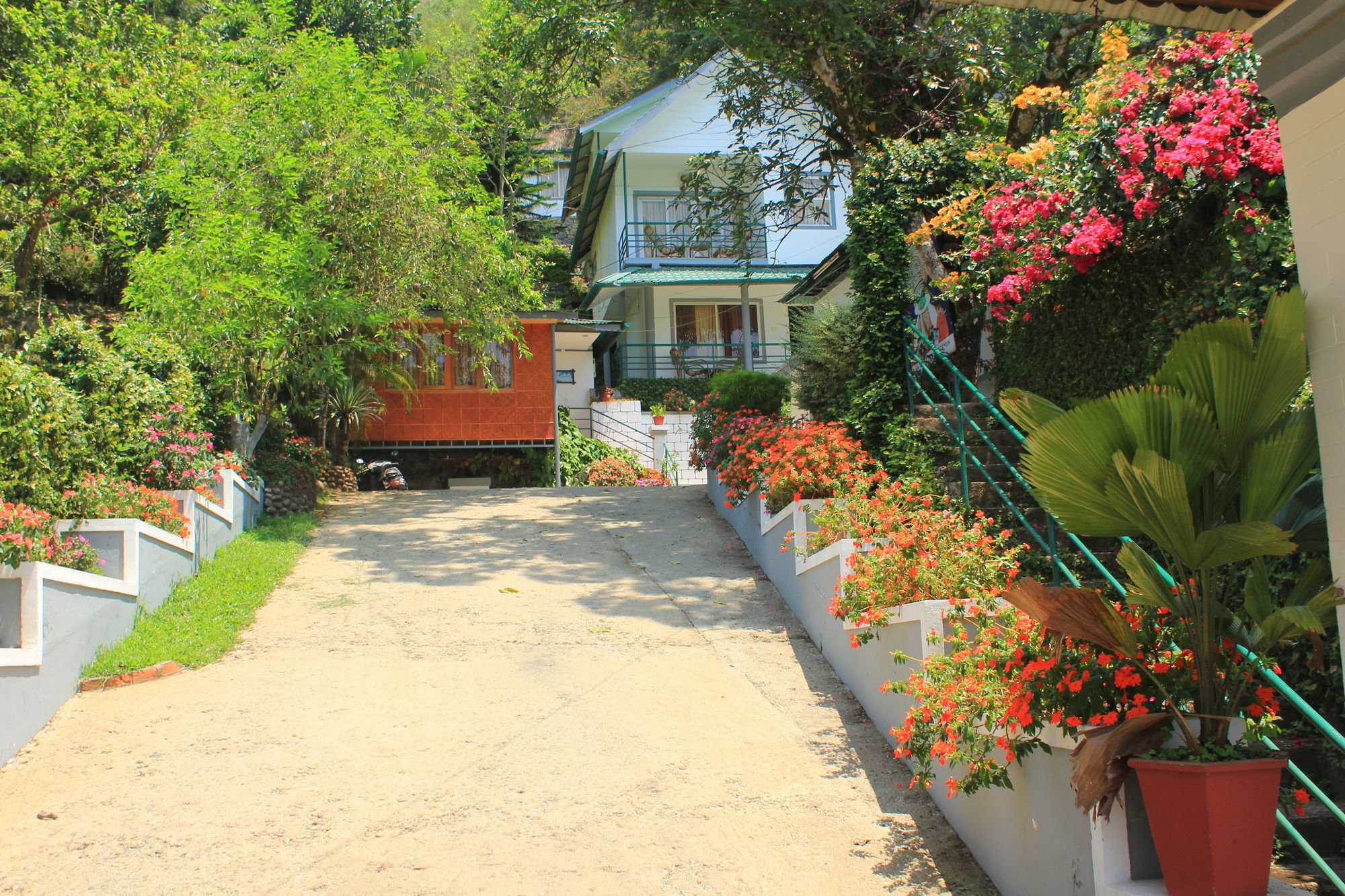 Bellavista Resort Munnar Exterior foto